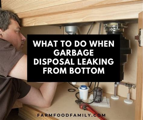 what makes a garbage disposal leak from the bottom|What Causes a Garbage Disposal to Leak from the。